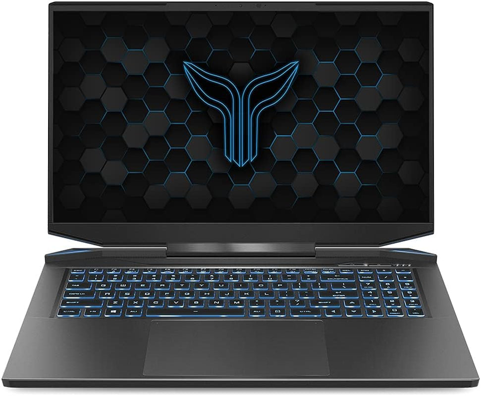Prometheus XVII (2021) 17.3" RTX 3080 Gaming Laptop, Intel I7-11800H CPU, NVIDIA Geforce RTX 3080 GPU, 17.3 Inch QHD 165Hz Display, Thunderbolt 4, 512GB Pcie Gen 3 SSD, 16GB DDR4 RAM, Windows 10 Home